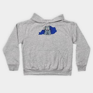 Kentucky Pop Culture Surprised Cat Kids Hoodie